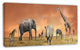 Savannah Wildlife Panorama, African Canvas Art Print, 32"x16"