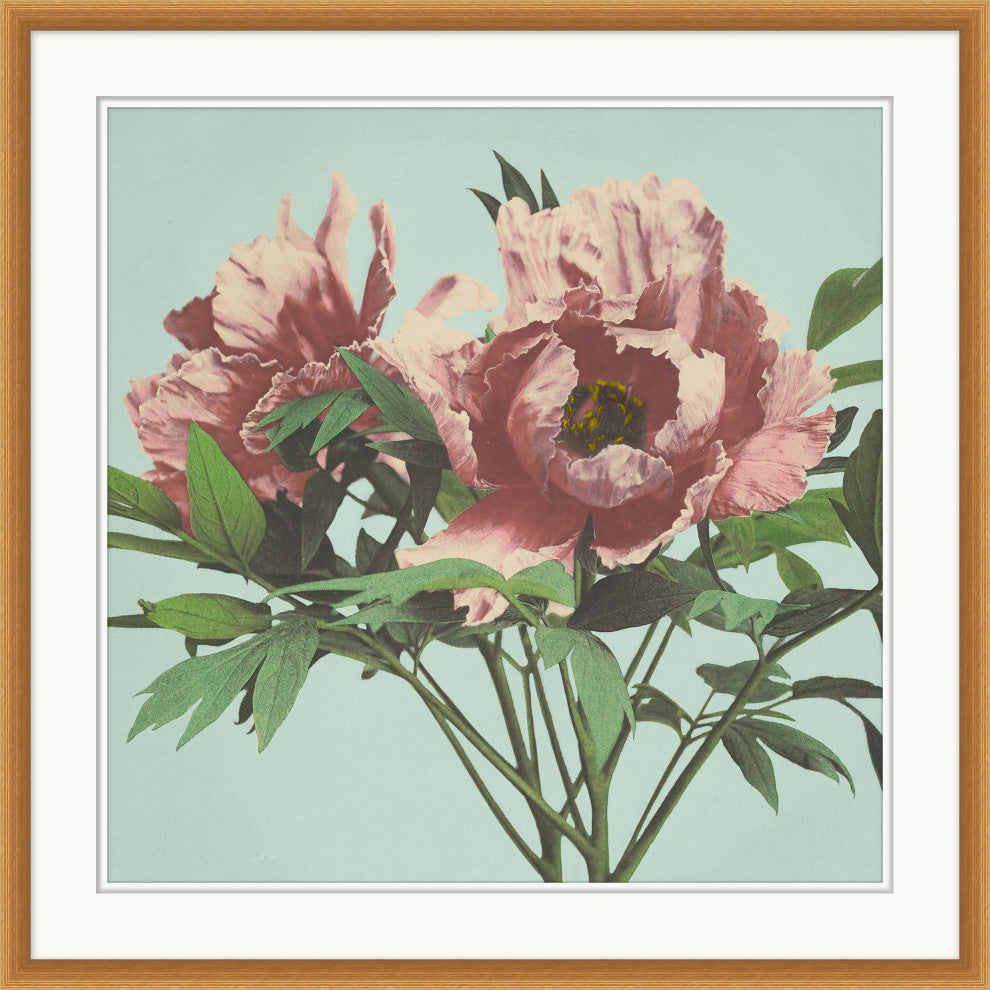 Pink Floral On Aqua 4, Giclee Reproduction Artwork