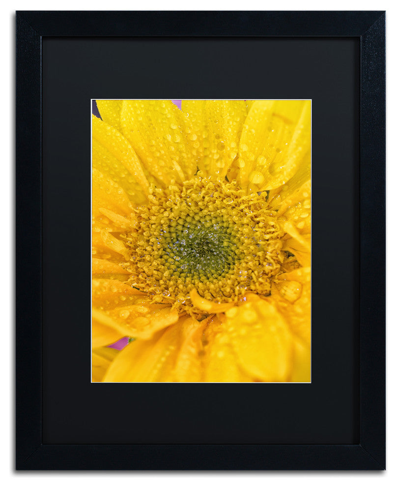 PIPA Fine Art 'Joyful Color' Matted Framed Art, 20x16