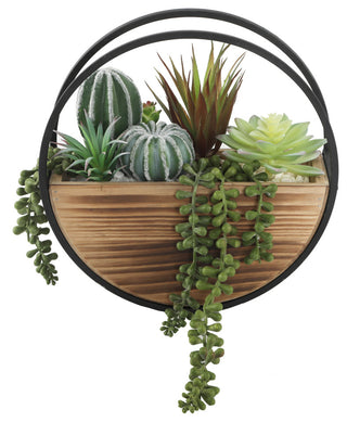 11" Round Wood + Metal Wall Succ mix