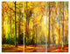 "Gorgeous Autumn of Sunny Forest" Photo Metal Wall Art, 3 Panels, 36"x28"
