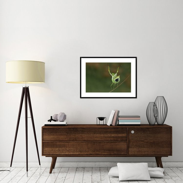 "Are You Gonna Dance With Me ?" Framed Digital Print by Hasan Baglar, 38"x28"