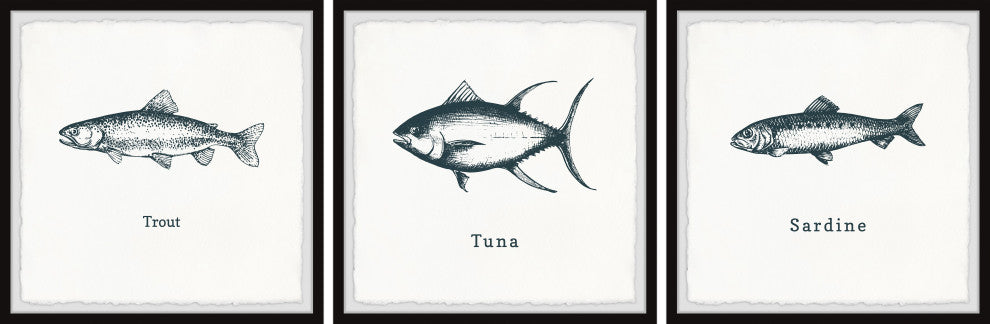 Trout and Tuna Triptych, 3-Piece Set, 32x32 Panels