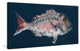 "Red Porgy" Painting Print on Wrapped Canvas, 60"x30"