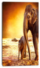 Elephant Mother and Baby Outdoors, African Canvas Art Print, 16"x32"