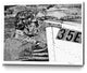 "Skipper" Museum Mounted Canvas Print, 36"x24"
