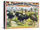 "Adam Forepaugh & Sells Brothers Giant Birds" Canvas Giclee, 22"x18"