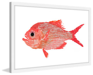 "Golden Snapper" Framed Painting Print, 36"x24"