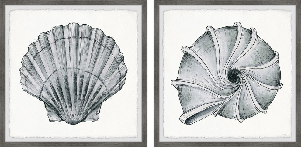 Metallic Shells Diptych, 64"x32"