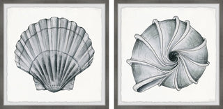 Metallic Shells Diptych, 64"x32"
