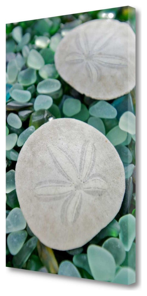 22" Two Sandollars and Colorful Seaglass Giclee Wrap Canvas Wall Art