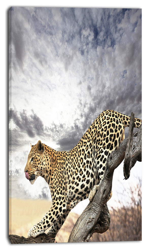 Leopard on Tree under Cloudy Sky, African Wall Art Print, 16"x32"