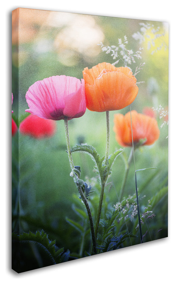 'Love Me Again' Canvas Art by Philippe Sainte-Laudy
