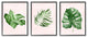 Boho Palm Leaves over Pink Modern Tropical Plants,3pc, each 16 x 20