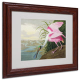 'Roseate Spoonbill' Matted Framed Canvas Art by John James Audubon