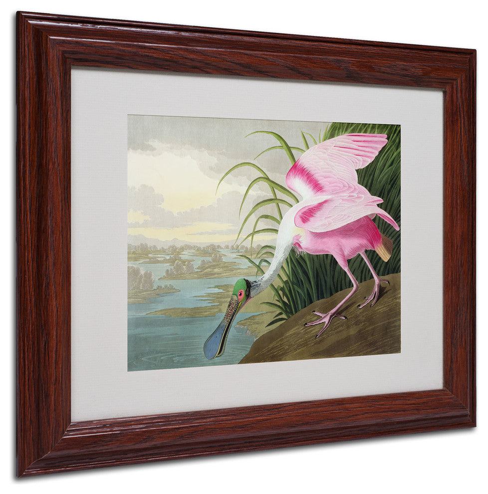 'Roseate Spoonbill' Matted Framed Canvas Art by John James Audubon