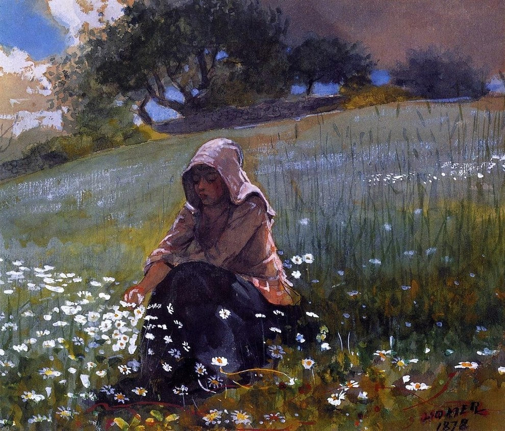 Winslow Homer Girl and Daisies, Gallery Wrapped Canvas Print, 20"x25"
