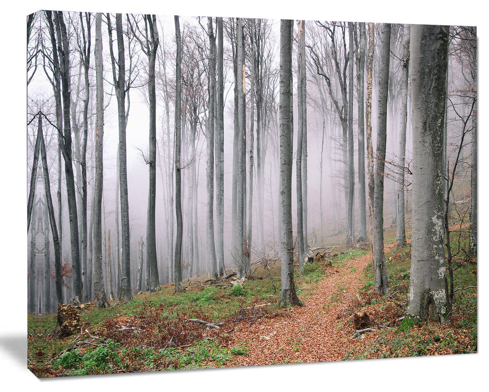 Thick Woods in Morning Forest, Modern Forest Canvas Art, 20"x12"
