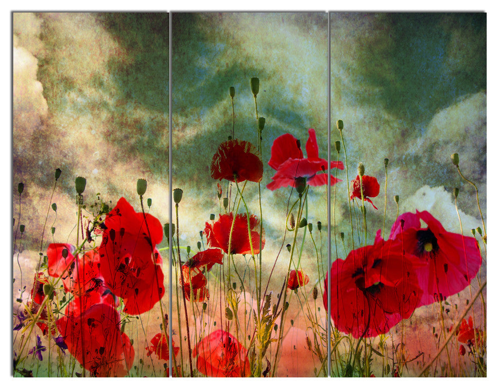 Wild Red Poppy Flowers in Sky, Floral Triptych Canvas Art Print, 36x28, 3 Panels