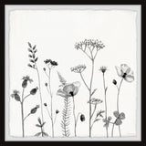 "All About Poppies" Framed Painting Print