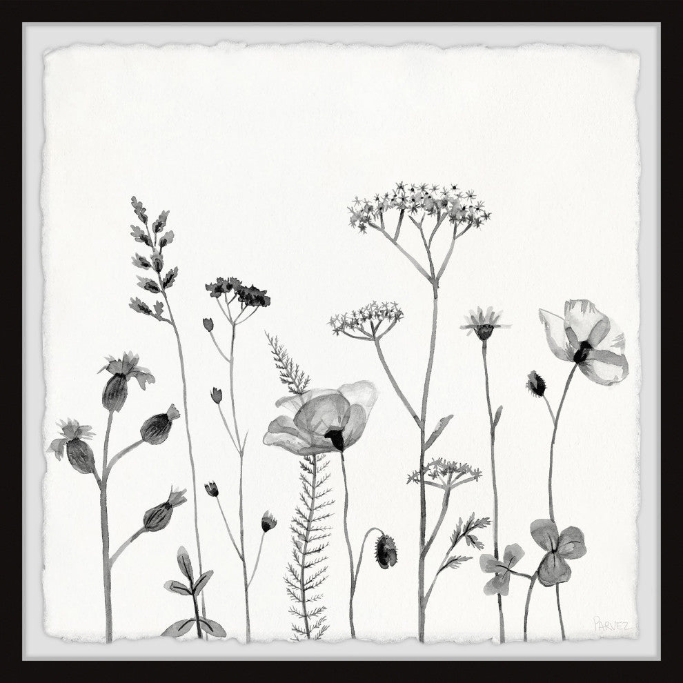 "All About Poppies" Framed Painting Print