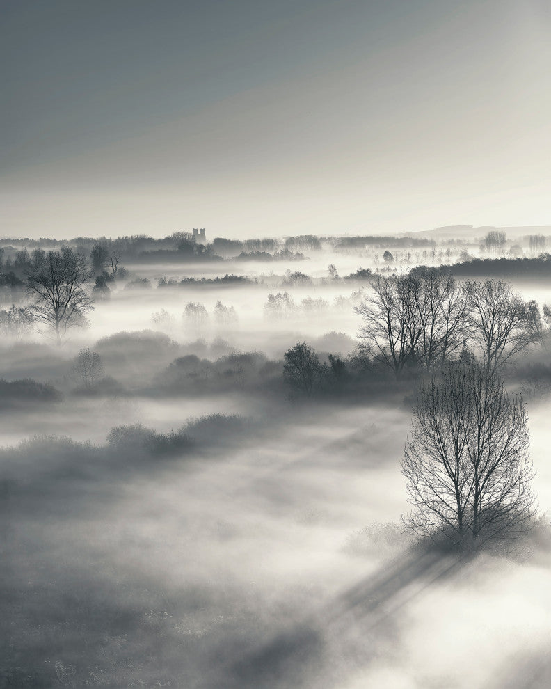 30x38 Misty Fall II, Unframed Artwork
