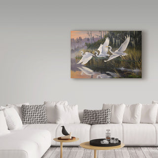 Wilhelm Goebel 'Morning Departure Egrets' Canvas Art, 19"x12"
