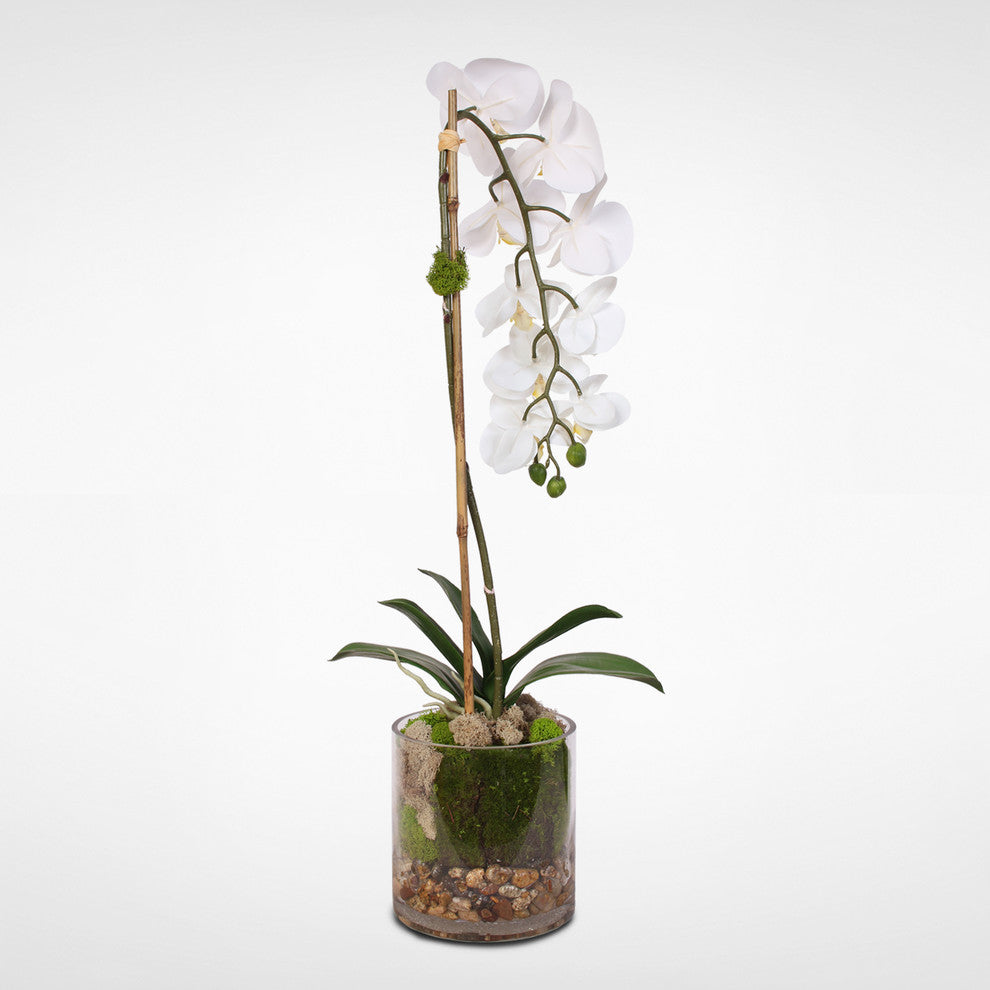 Real Touch White Phalaenopsis Orchid With Sleek Glass Vase