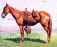 Frederic Remington A Cow Pony, 20"x25" Wall Decal