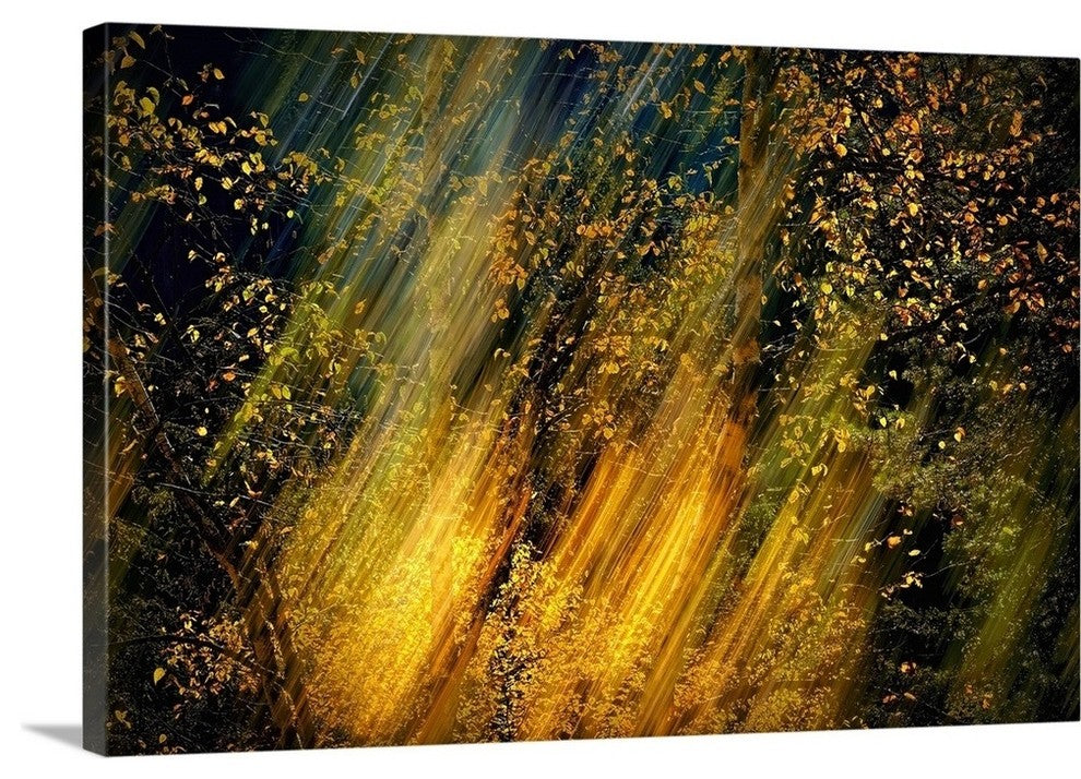 "Fall Fantasy II" Wrapped Canvas Art Print, 24"x16"x1.5"
