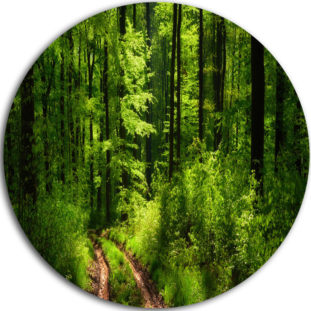 Fascinating Greenery In Wild Forest, Forest Disc Metal Wall Art, 23"