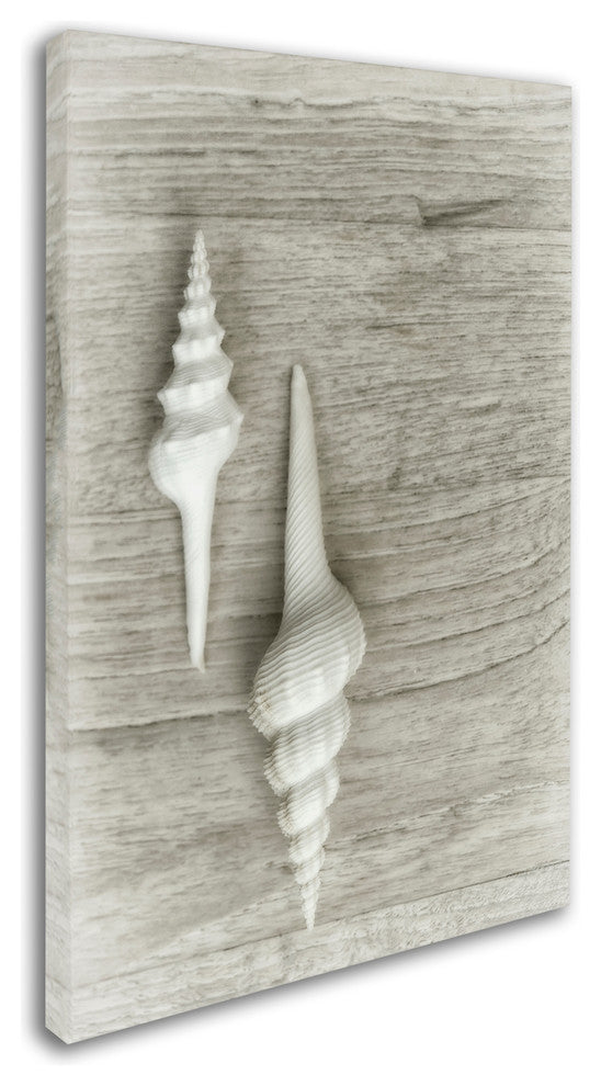 Cora Niele ''Two White Shells'' Canvas Art