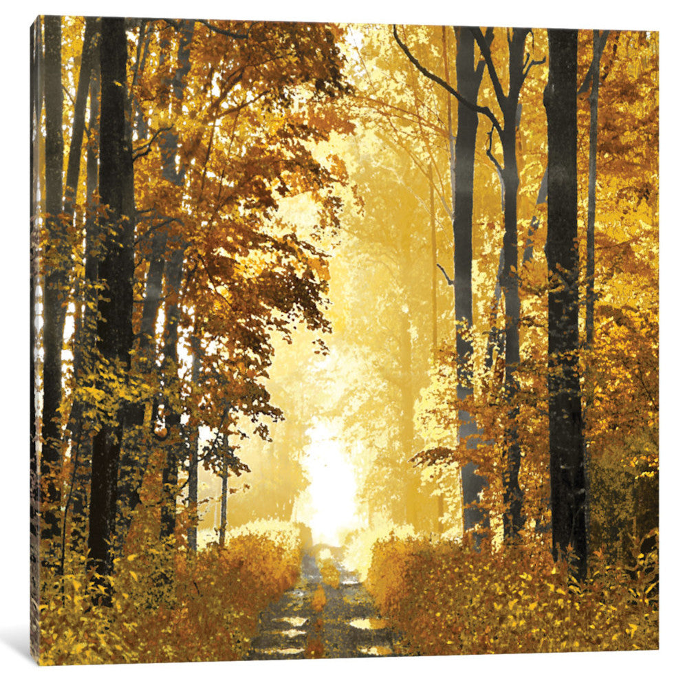 "Sunlit Forest I" by Derek Scott, Canvas Print, 18"x18"