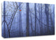 Red Cardinal in a Blue Forest by Dale O"™Dell, Print on Canvas, 45" x 30"