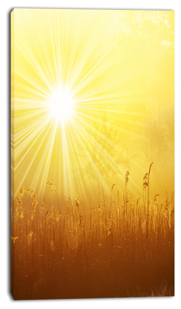 Amazing Sunrise over Meadow, Oversized Landscape Canvas Art, 16"x32"