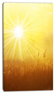 Amazing Sunrise over Meadow, Oversized Landscape Canvas Art, 16"x32"