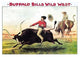Buffalo Bill: Steer Riding - Gallery Wrapped Canvas Art 28" x 42"