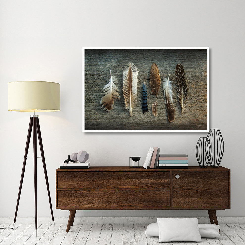 "Feather Collection I" Digital Paper Print by Sue Schlabach, 62"x42"