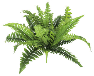 Shows full product on a plain white background with a clear, front-facing view (primary product image).