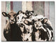 Ready2HangArt Farmhouse 'Cattle' Wrapped Canvas Animal Wall Art, 20"x16"
