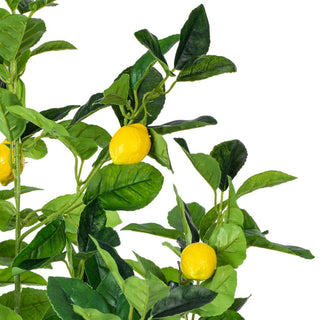 White background; close-up of leaves and visible lemons.