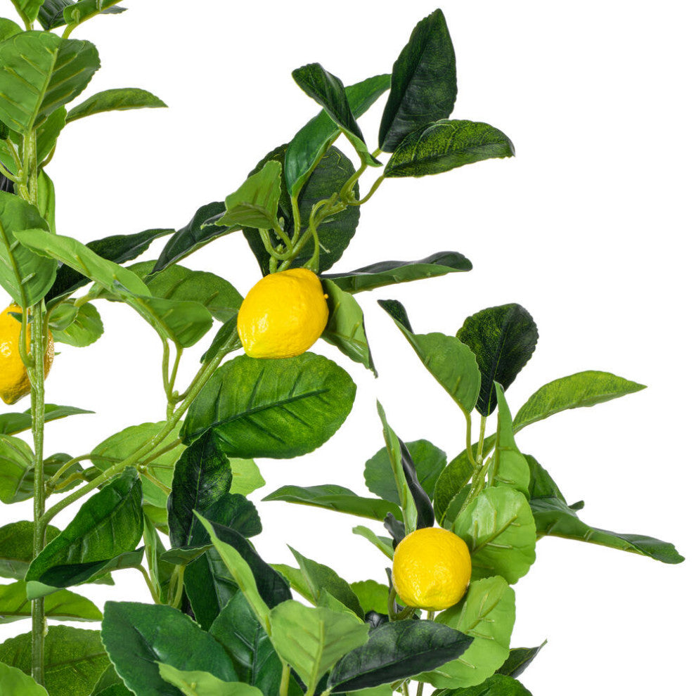 White background; close-up of leaves and visible lemons.
