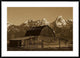Cunningham Cabin In Front Of Grand Teton Range, 42"x30"