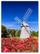 Michael Blanchette 'Higgins Windmill' Canvas Art, 24x18