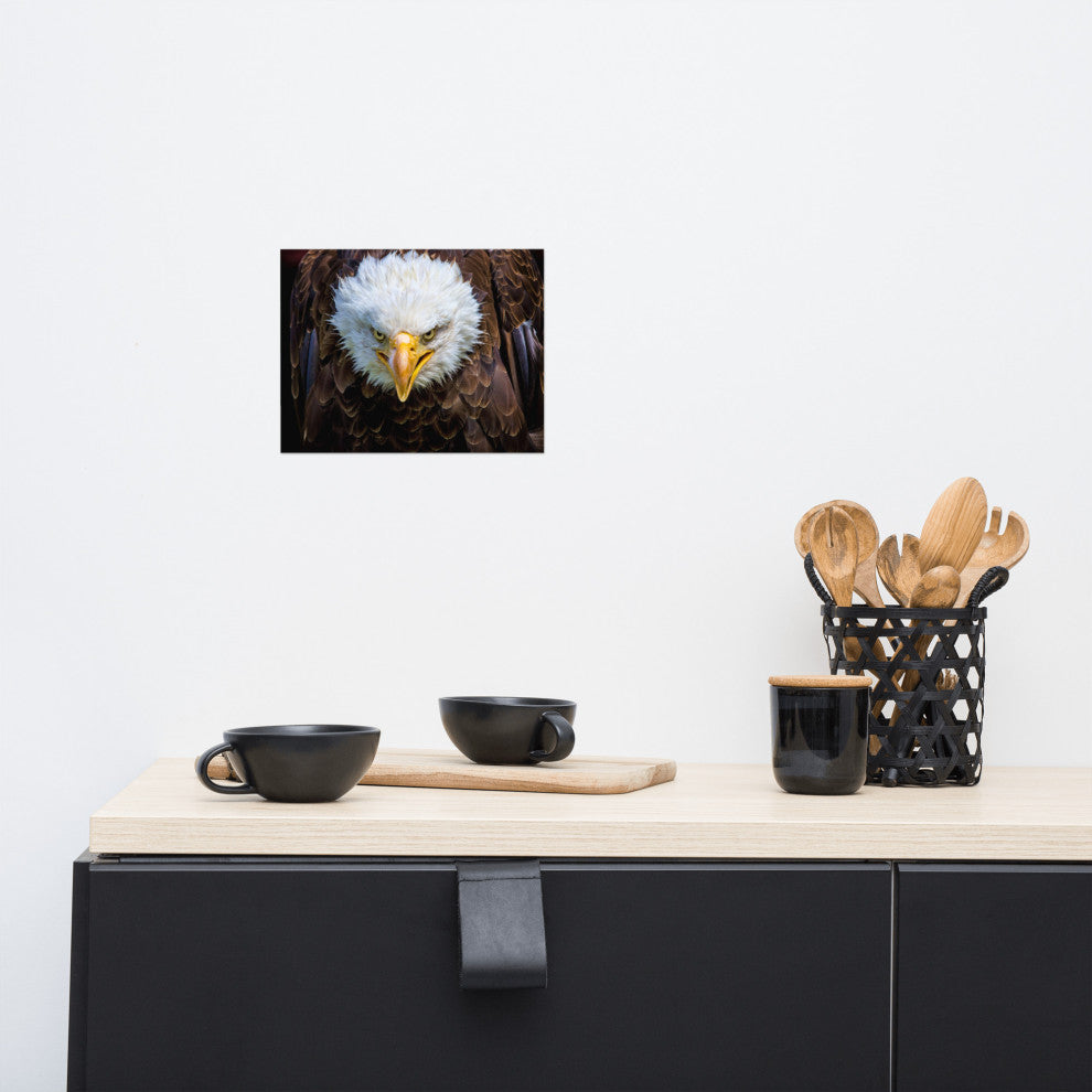 Bald Eagle Portrait Close-up Loose Wall Art Print, 8" X 10"