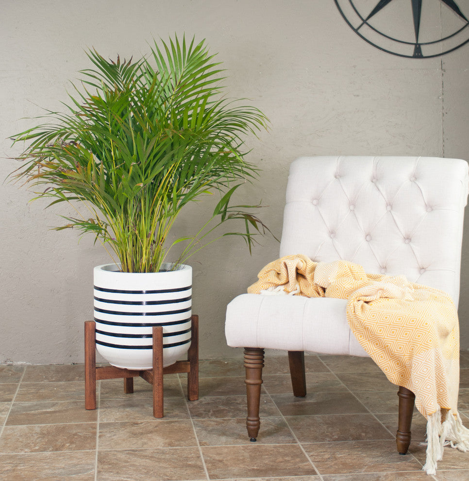 Extra Large Handcrafted Fiber Clay Pot 13'' With Wood Plant Stand Walnut Color