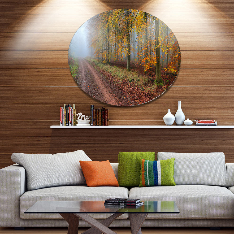 Raising Sun In Fall Forest Panorama, Forest Disc Metal Artwork, 11"