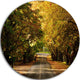 Road Through Beautiful Green Trees, Landscape Round Metal Wall Art, 36"