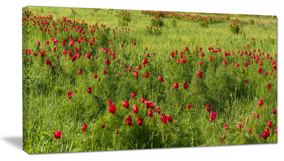 "Wild Peonies Flower in Steppe" Modern Landscape Wall Art, 1 Panel, 60"x28"