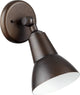 1-Light Par Flood Ceiling Mount, Oiled Bronze